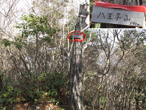 20140103hike (172)